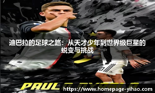壹号娱乐app